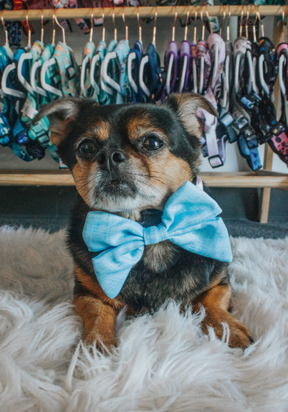 Dog Sailor Bow - Blumond