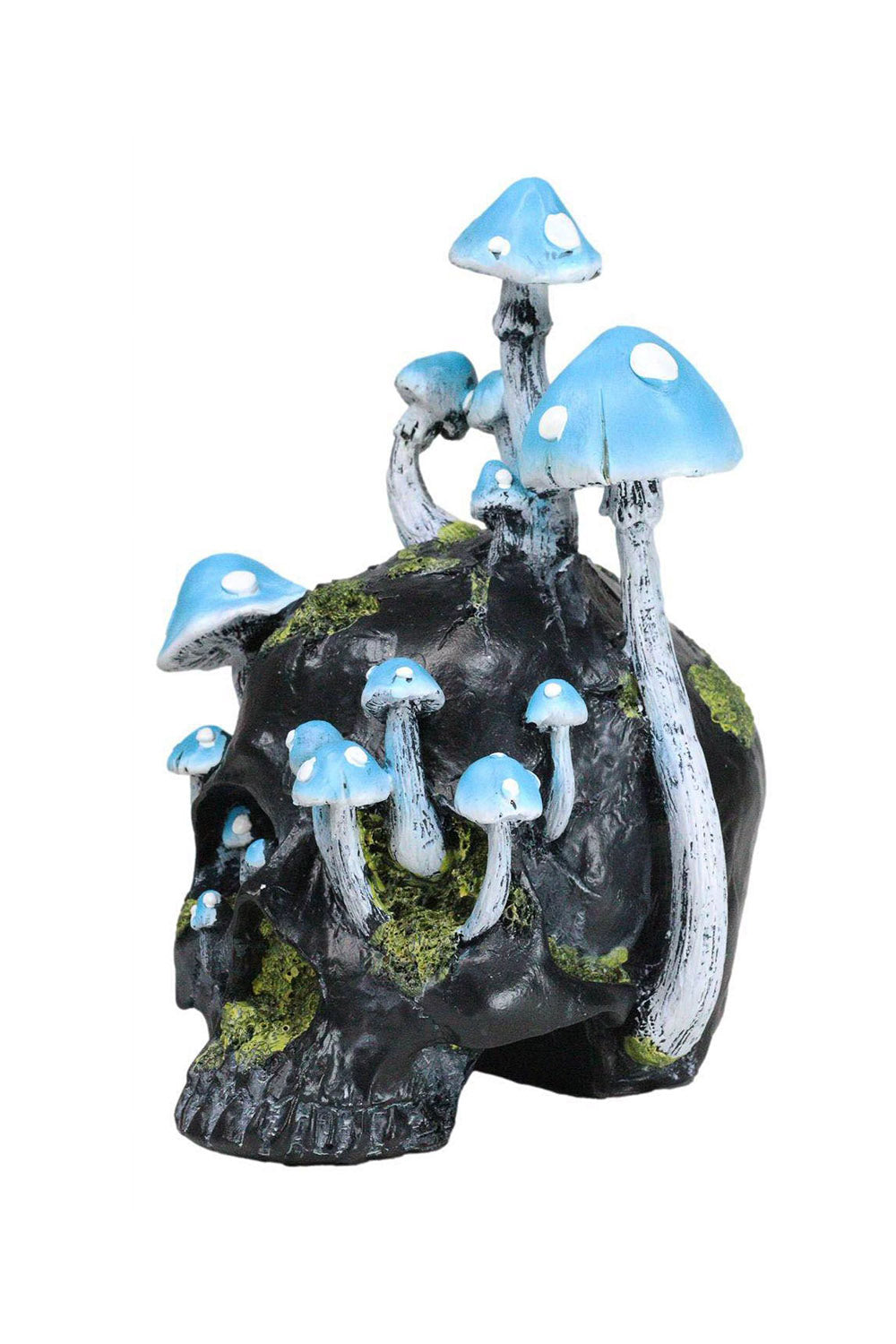 Black Skull with Mushrooms