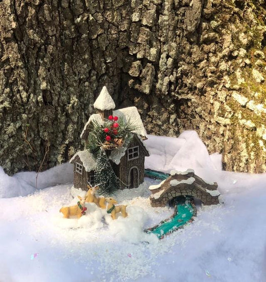 Snowy Winter House Fairy Garden Kit