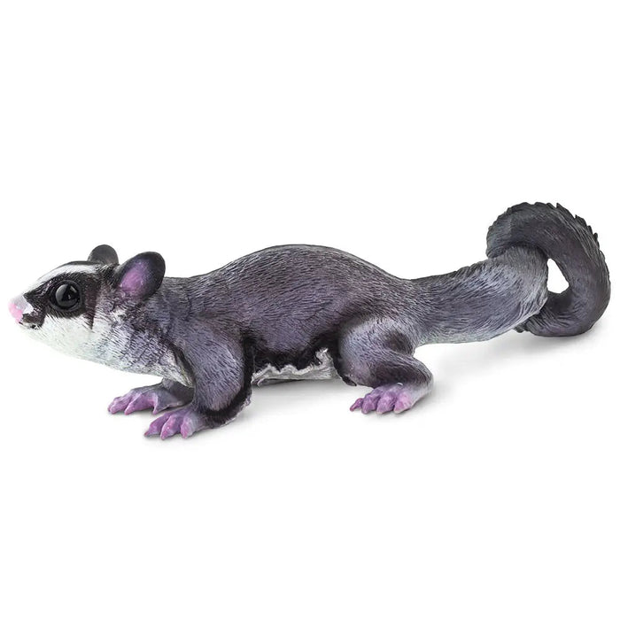 Sugar Glider