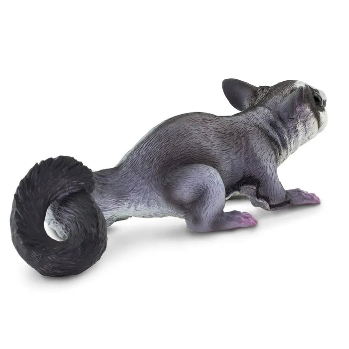 Sugar Glider