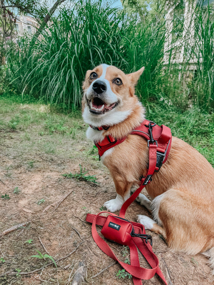 Dog Waste Bag Holder - Burgundy