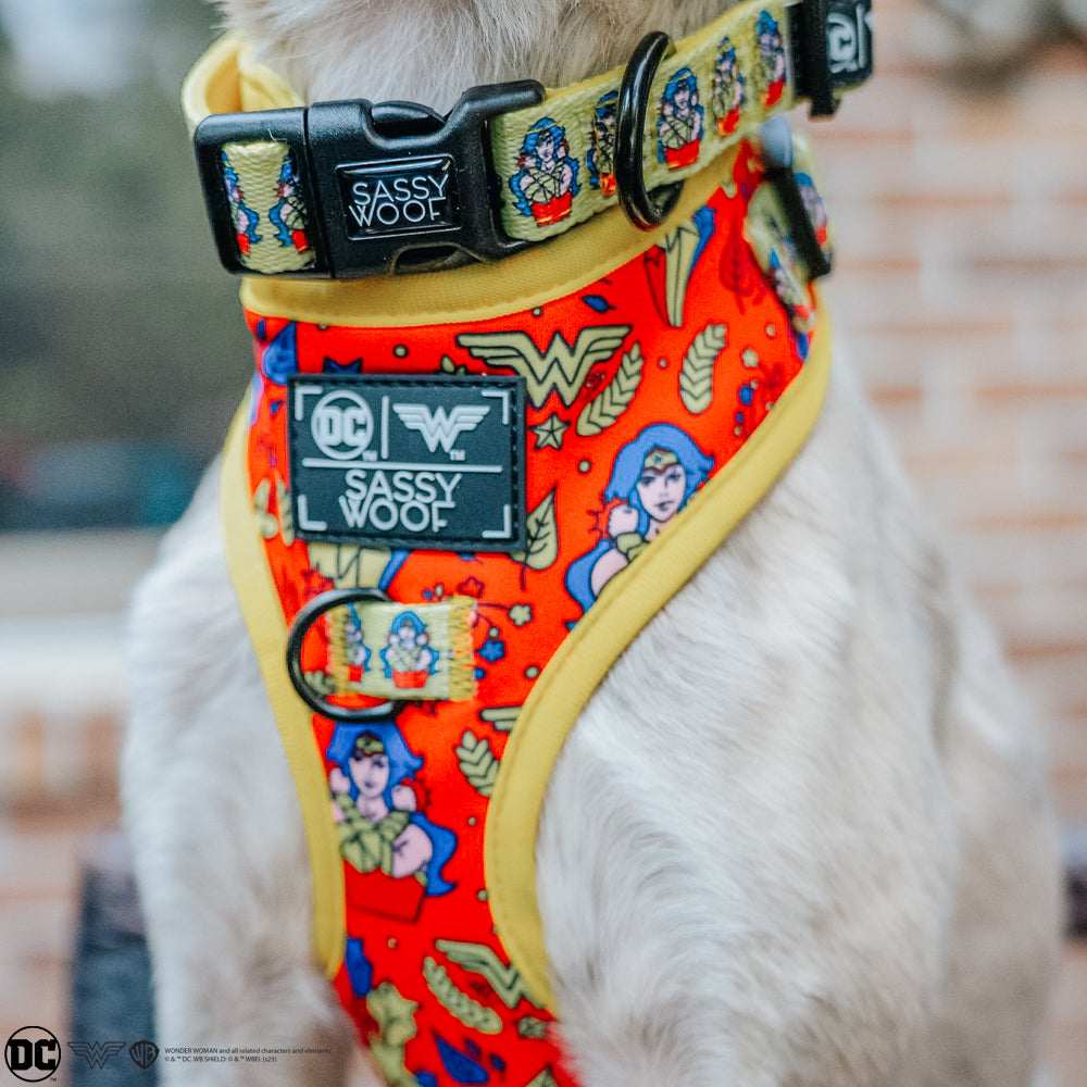 Dog Four Piece Bundle - Wonder Woman™