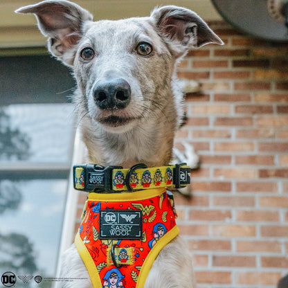 Dog Four Piece Bundle - Wonder Woman™