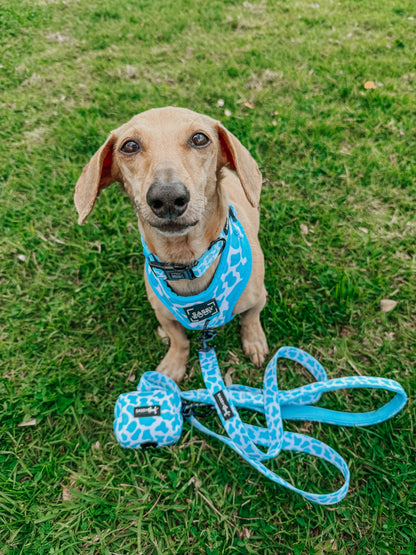 Dog Three Piece Bundle - Blueberry Milk