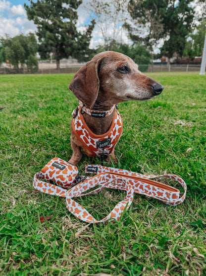 Dog Adjustable Harness - Chocolate Milk