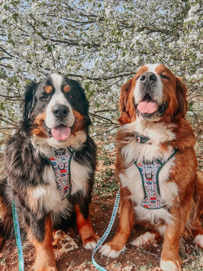 Dog Four Piece Bundle - Peanuts™ Beagle Scouts