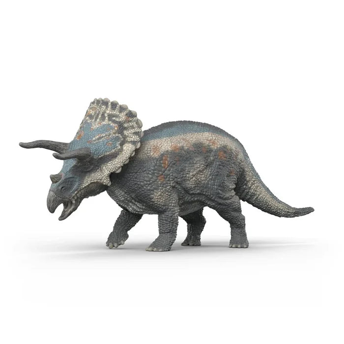 Triceratops
