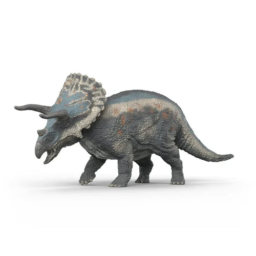 Triceratops