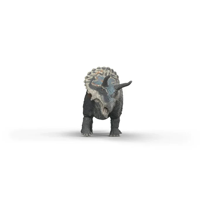 Triceratops