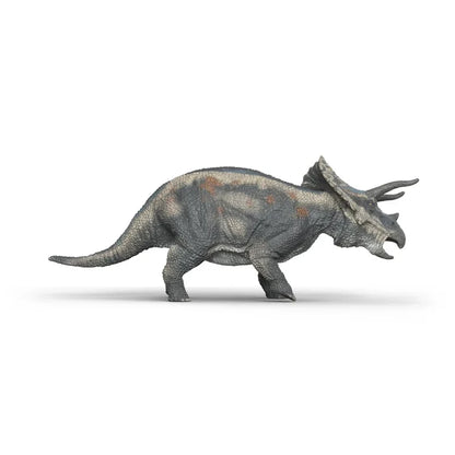 Triceratops
