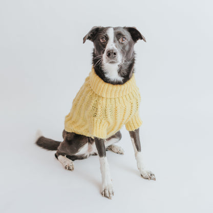 Pet Cable Knit Sweater - Yellow