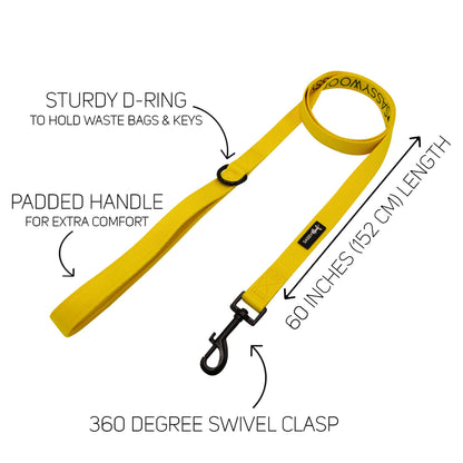 Dog Four Piece Bundle - Neon Yellow