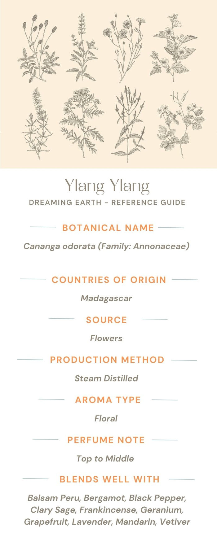 Ylang Ylang 1 Essential Oil - Dreaming Earth Inc